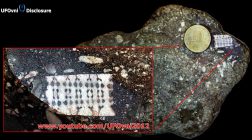 Descoperirea unui cip de acum 200 de milioane de ani