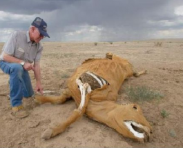 Extratereştii care sug sângele