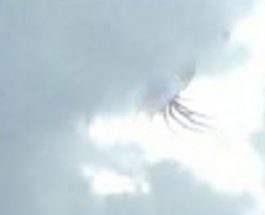 Creatură cu tentacule plutind în cer la Tapalpa Jalisco, Mexic